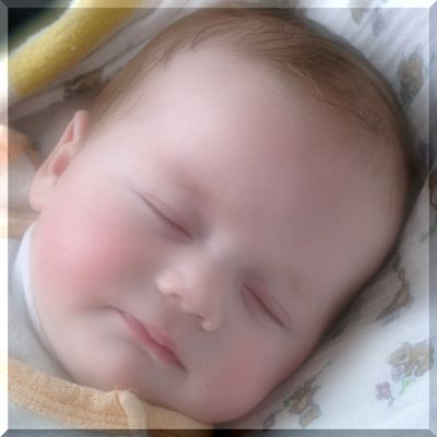 Hier geht es zu Theresa